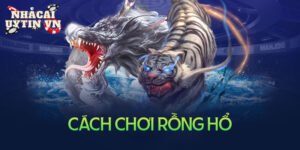 Cách chơi rồng hổ cực chuẩn trăm trận trăm thắng