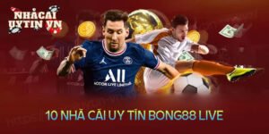 10 nhà cái uy tín bong88 live những lựa chọn tốt nhất